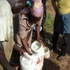 fertilizer application during ffs